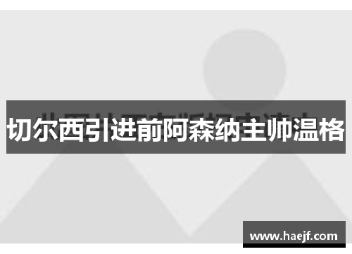 切尔西引进前阿森纳主帅温格